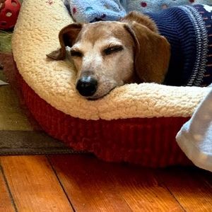 Meet your Posher, Rebecca